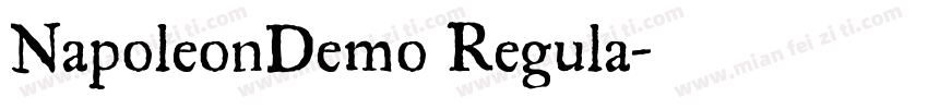 NapoleonDemo Regula字体转换